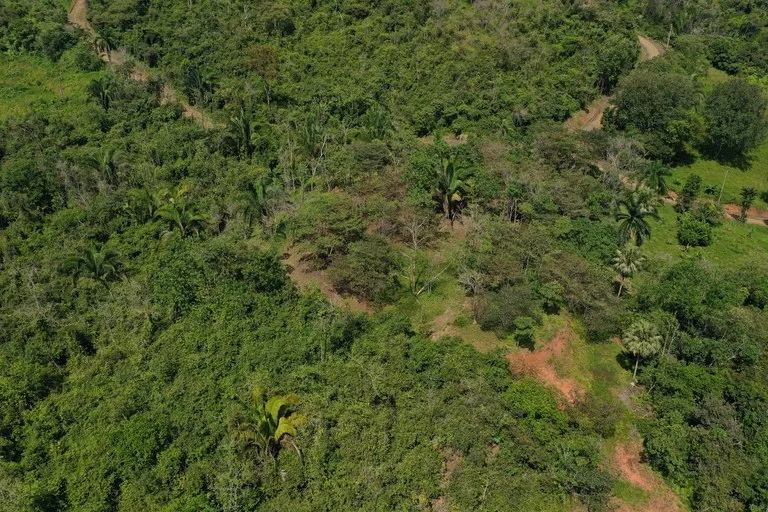 12 Acre Farm in Private Agricultural Community South of Ojochal, photo 12