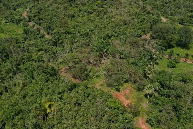12 Acre Farm in Private Agricultural Community South of Ojochal, photo 13