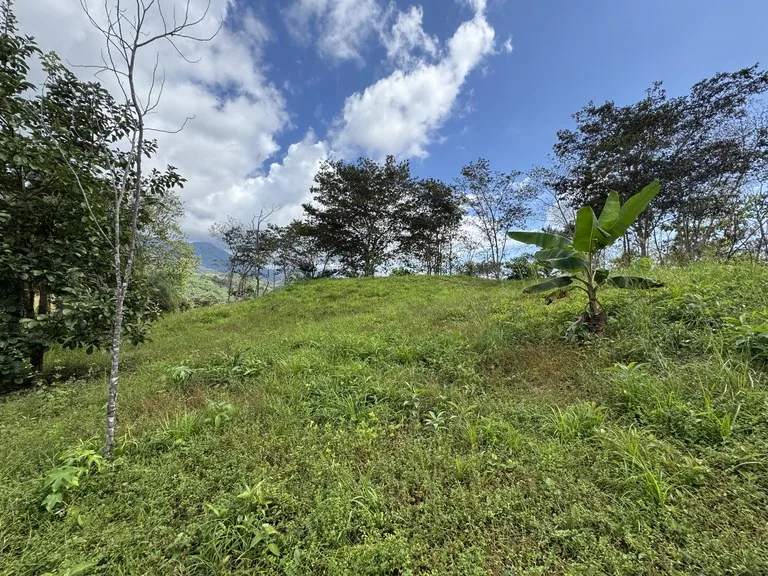 12 Acre Farm in Private Agricultural Community South of Ojochal, photo 15