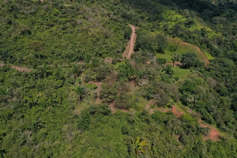 12 Acre Farm in Private Agricultural Community South of Ojochal, photo 10