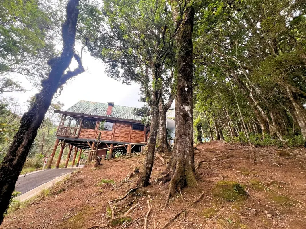 Imagine waking up every morning to the sound of birds, breathing in fresh air, and enjoying breathtaking views from the comfort of your home. This property offers the perfect ..., photo 2