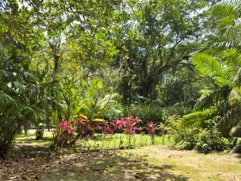 12 Bed Hotel / Leisure For Sale in Cahuita, photo 11