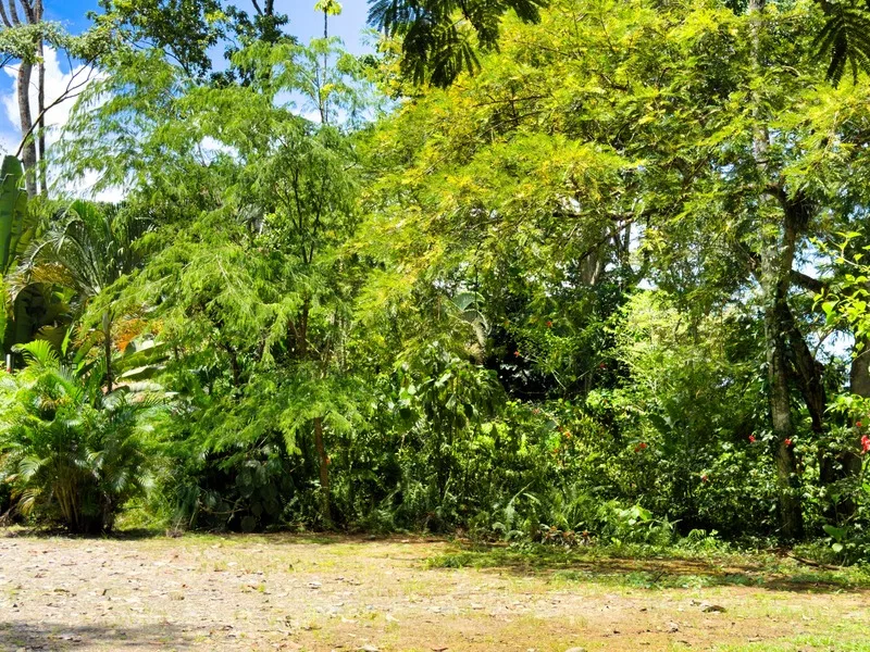 12 Bed Hotel / Leisure For Sale in Cahuita, photo 13