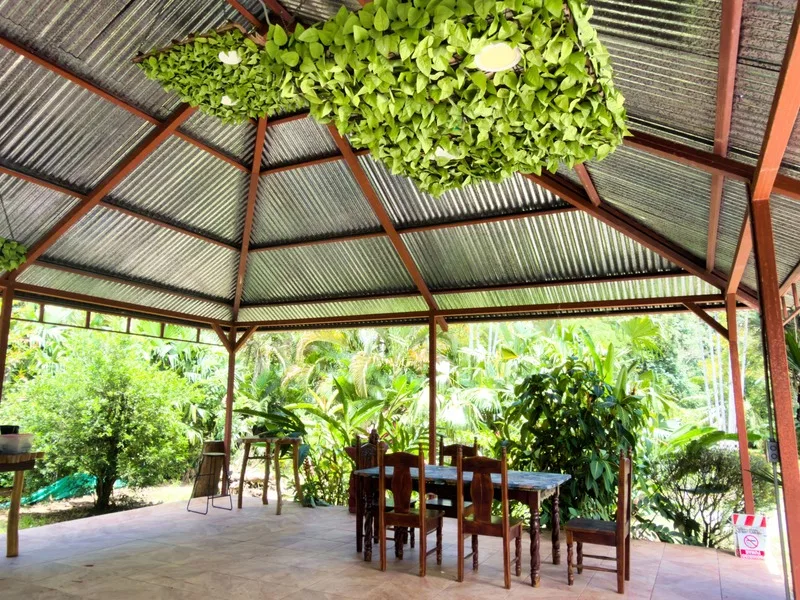 12 Bed Hotel / Leisure For Sale in Cahuita, photo 7
