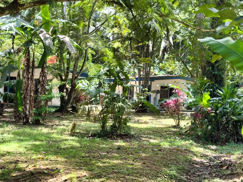 12 Bed Hotel / Leisure For Sale in Cahuita, photo 10