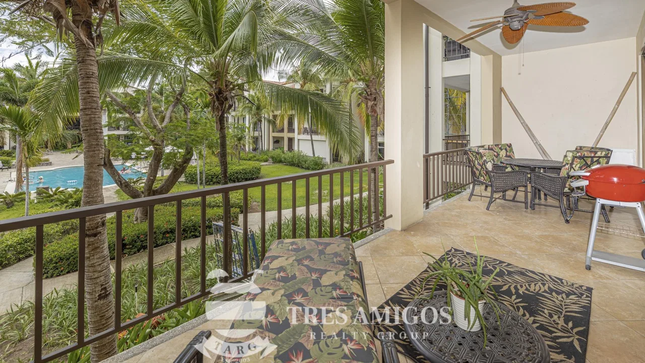 PACIFICO L 1308, photo 18