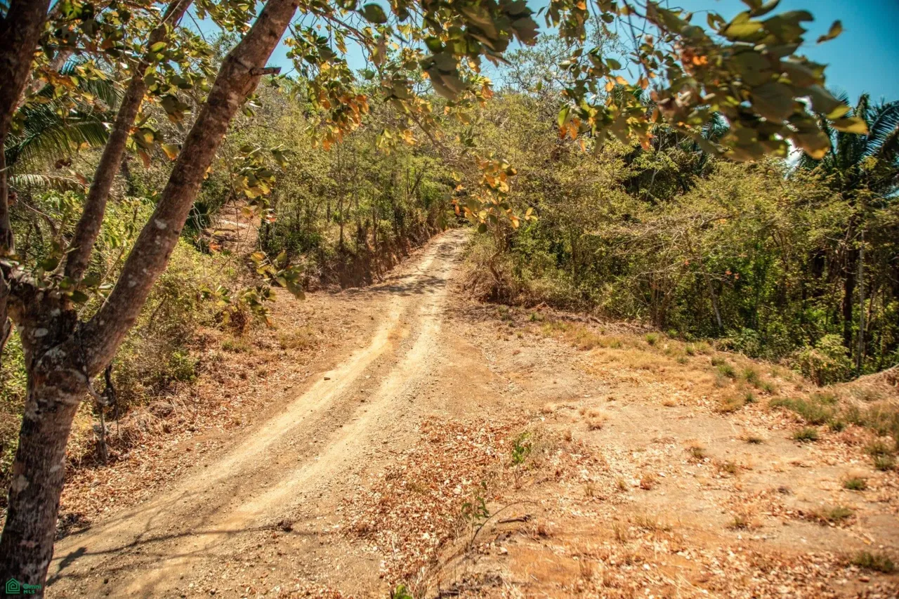 49-Acre Ocean-View Parcel Nosara Investment Opportunity, Nosara, Guanacaste 50206