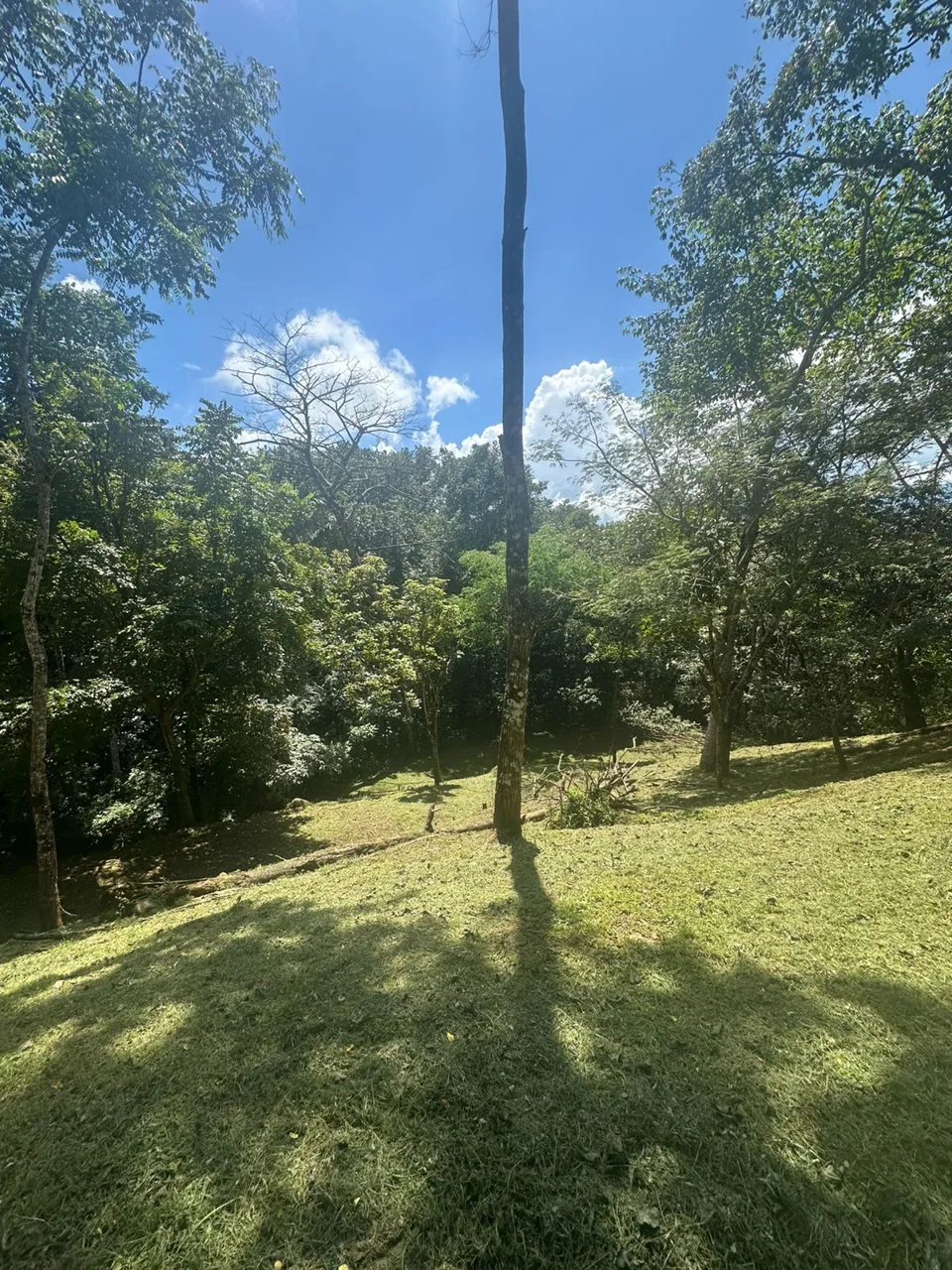 Opportunity, Property For Sale, San Pedro Turribares, photo 11