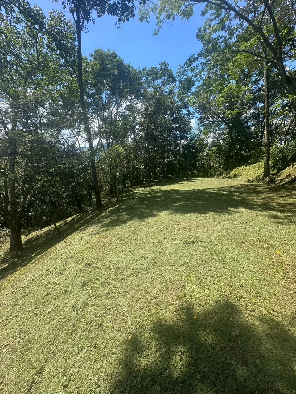 Opportunity, Property For Sale, San Pedro Turribares, photo 12