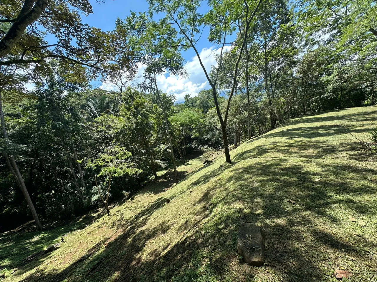 Opportunity, Property For Sale, San Pedro Turribares, photo 13