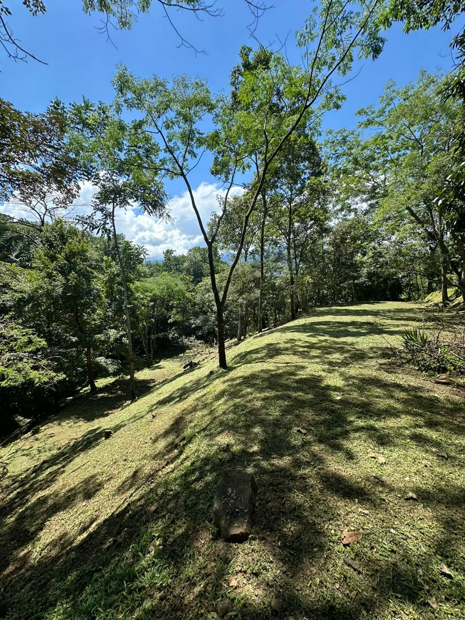 Opportunity, Property For Sale, San Pedro Turribares, photo 15