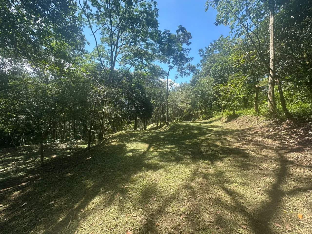 Opportunity, Property For Sale, San Pedro Turribares, photo 6