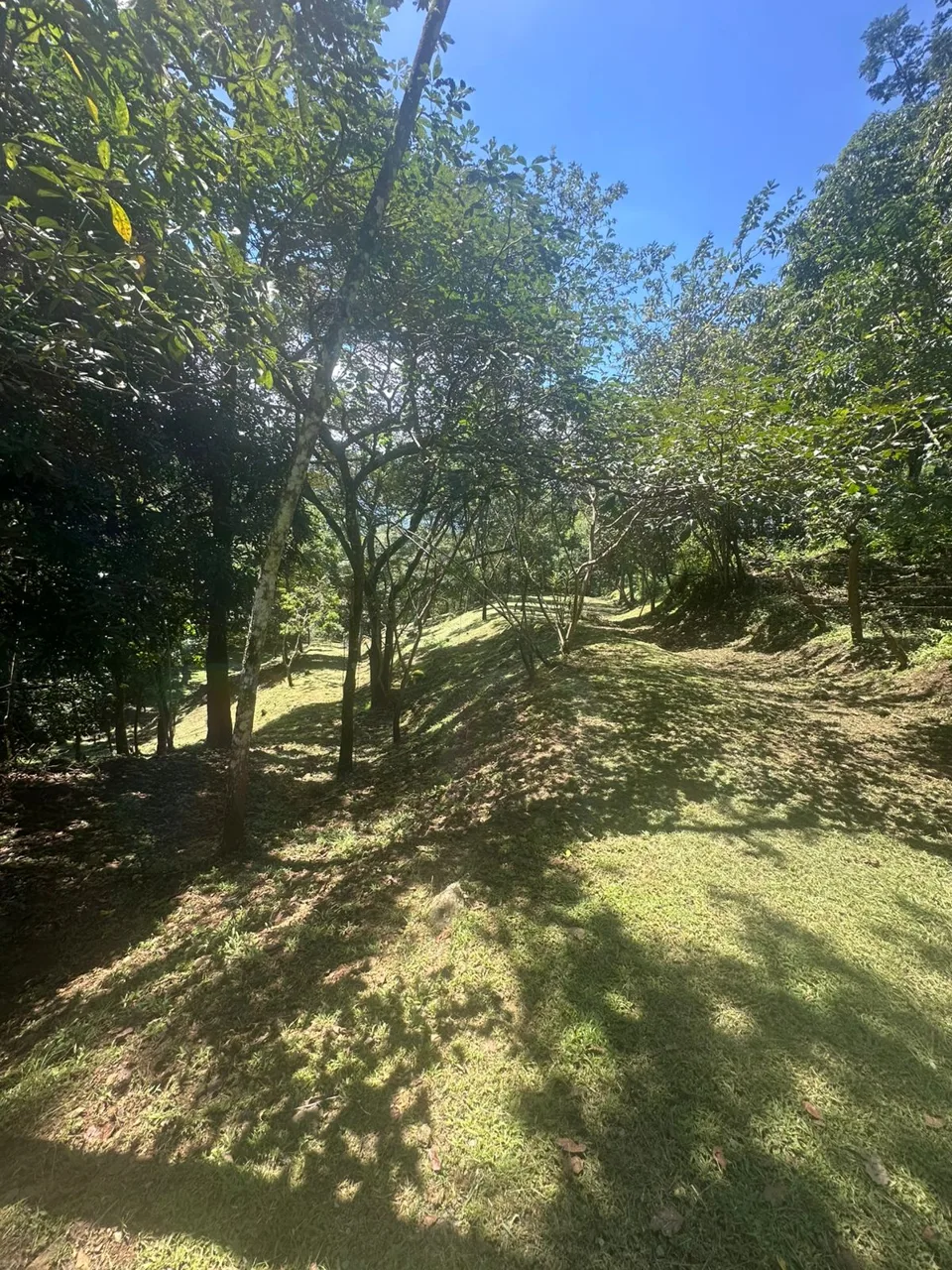 Opportunity, Property For Sale, San Pedro Turribares, photo 7