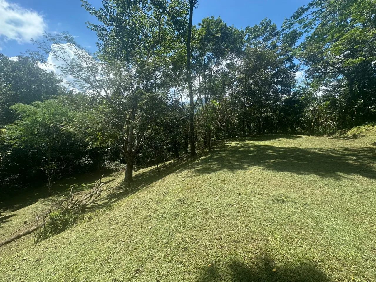 Opportunity, Property For Sale, San Pedro Turribares, photo 8