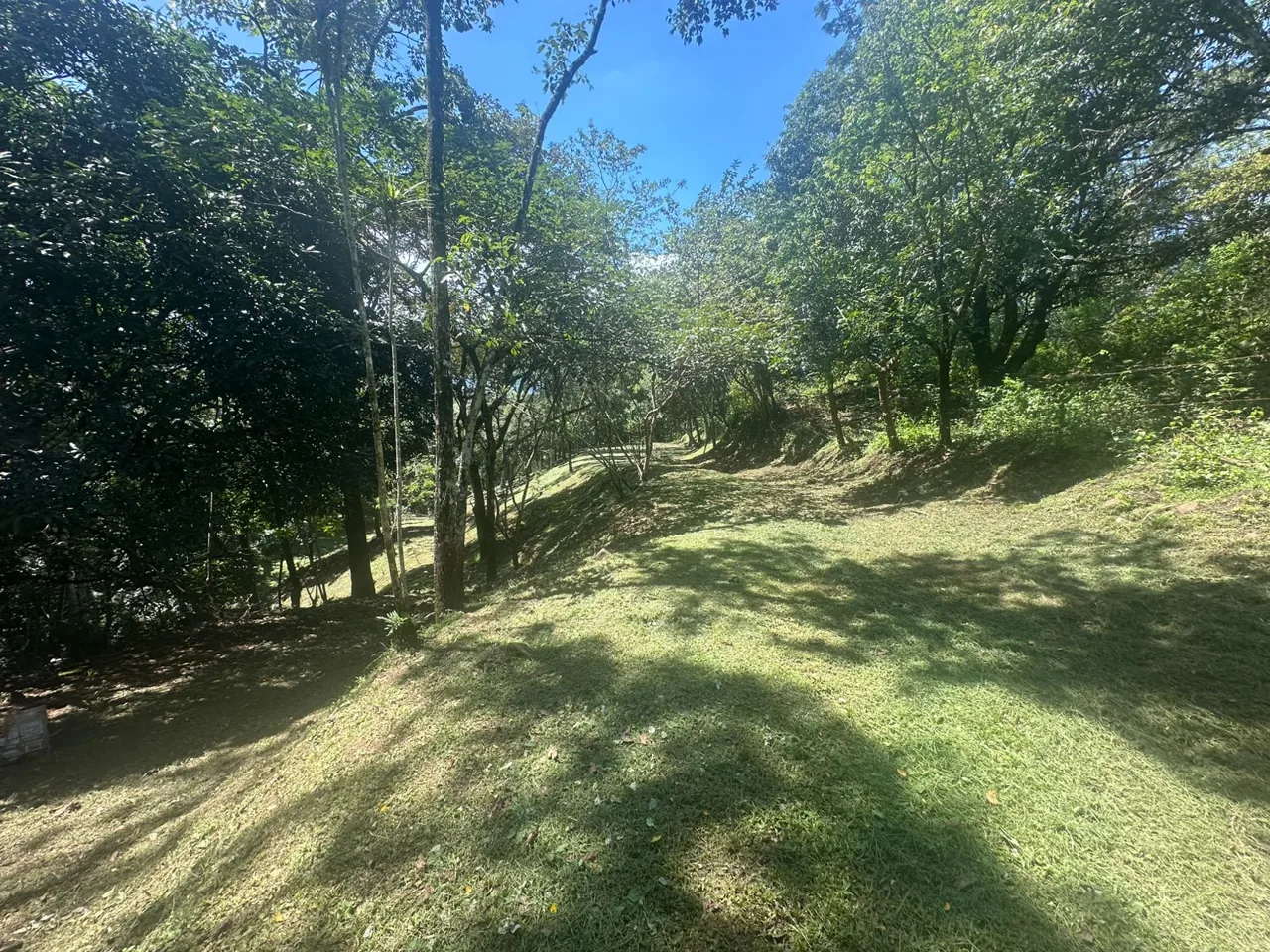 Opportunity, Property For Sale, San Pedro Turribares, photo 10
