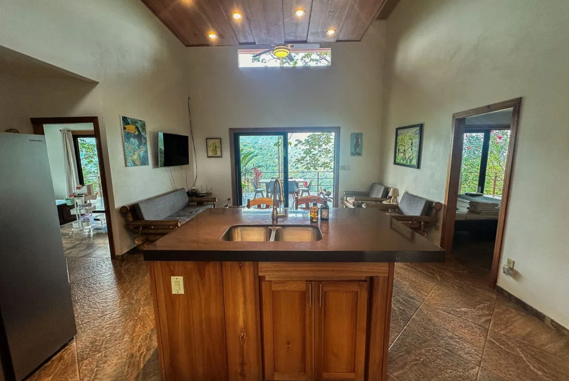 MOUNTAIN PROPERTY WITH A GUEST HOUSE WITH BEAUTIFUL VIEWS OF THE NATURE, IN BARU – 3.53 ACRES, photo 22