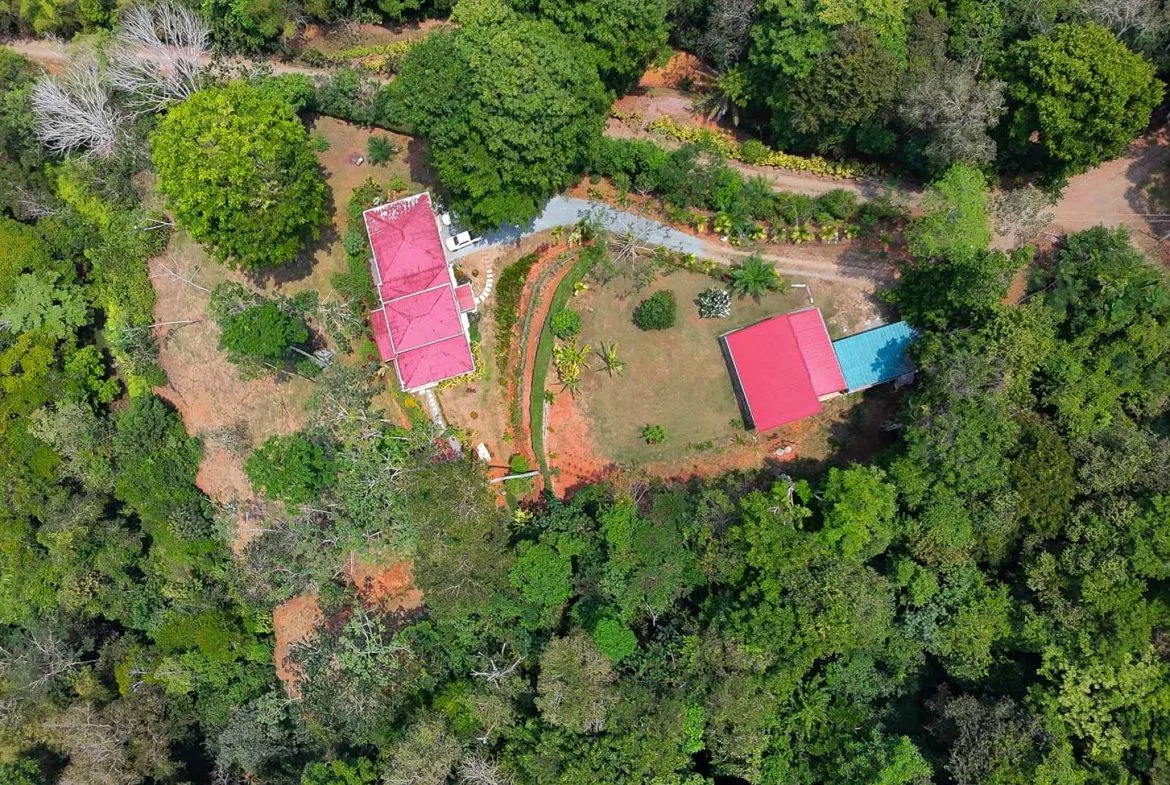MOUNTAIN PROPERTY WITH A GUEST HOUSE WITH BEAUTIFUL VIEWS OF THE NATURE, IN BARU – 3.53 ACRES, photo 4