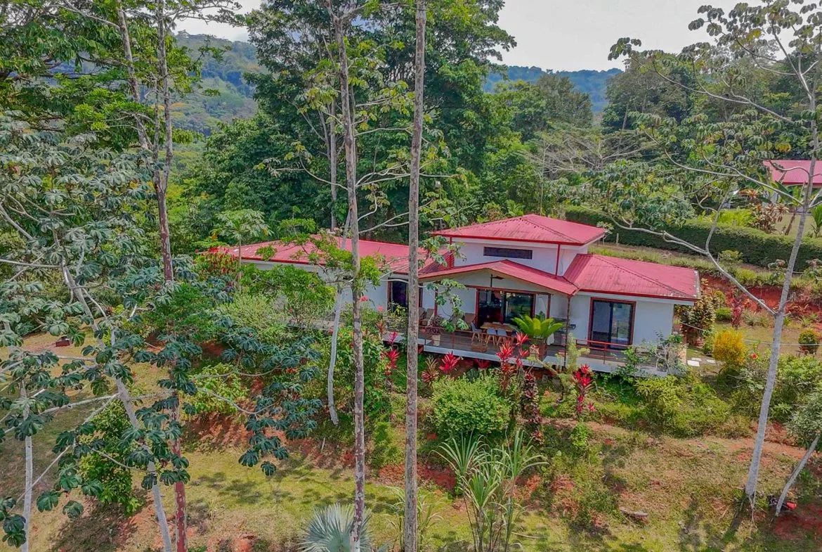 MOUNTAIN PROPERTY WITH A GUEST HOUSE WITH BEAUTIFUL VIEWS OF THE NATURE, IN BARU – 3.53 ACRES, photo 8