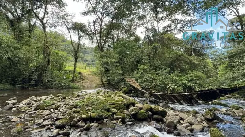Se vende finca de 70,3 hectáreas ubicada en Guápiles, a 20 minutos del centro. Apta para desarrollo de eco turismo o producción hidroeléctrica.