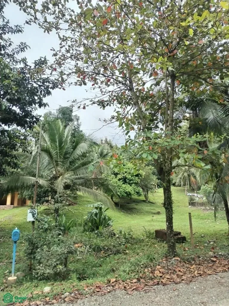 San Rafael Cerros,, Puntarenas 60601