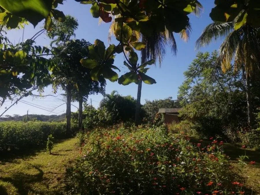 Venta de Lote en Orotina, Alajuela.  - Venta en Orotina