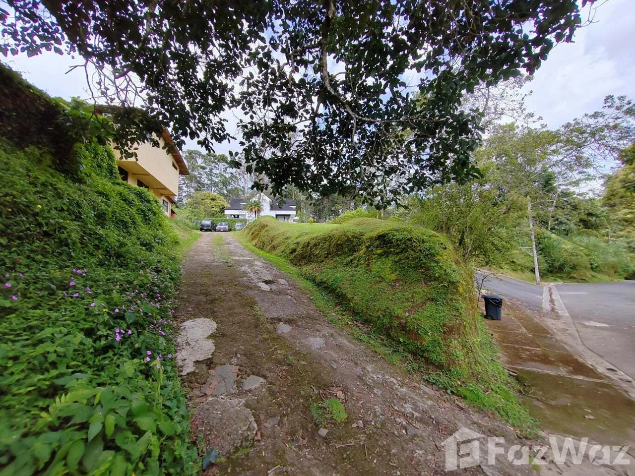 Land for Sale at Montes de Oca for $160,000, photo 8