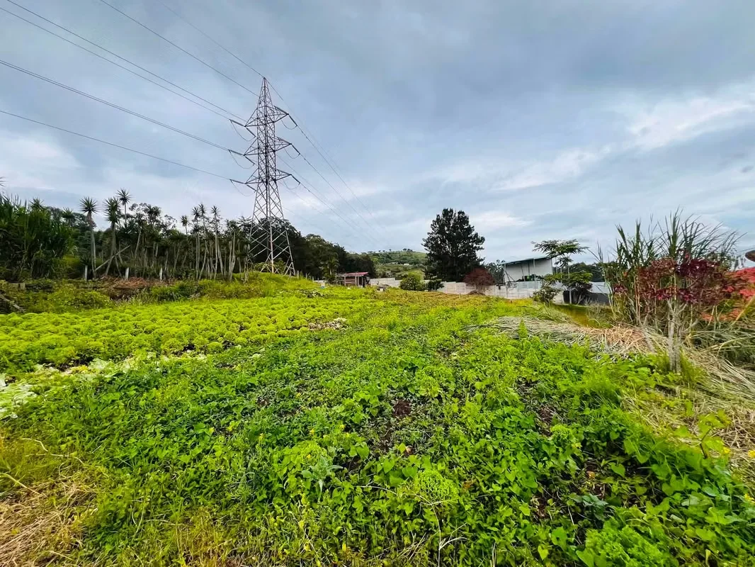 Excelente propiedad con un área de 5.976 m², ideal para quienes buscan amplitud, tranquilidad y una excelente oportunidad de inversión ..., photo 9