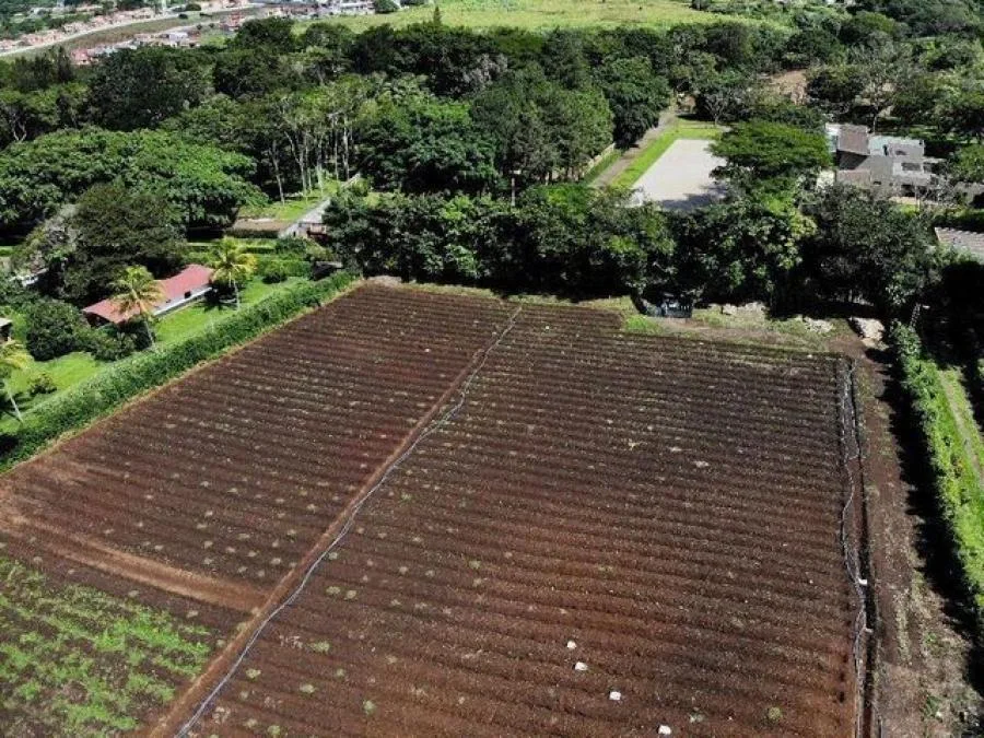 Venta de Lote en Montes de Oca, San José. - Venta en Alajuela, photo 7