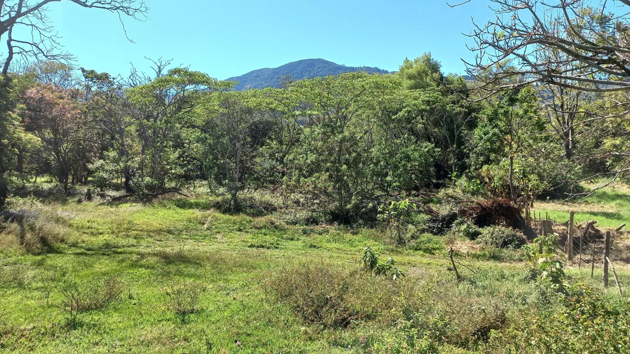 Lote en Venta en San Miguel ,Desamparados, photo 19