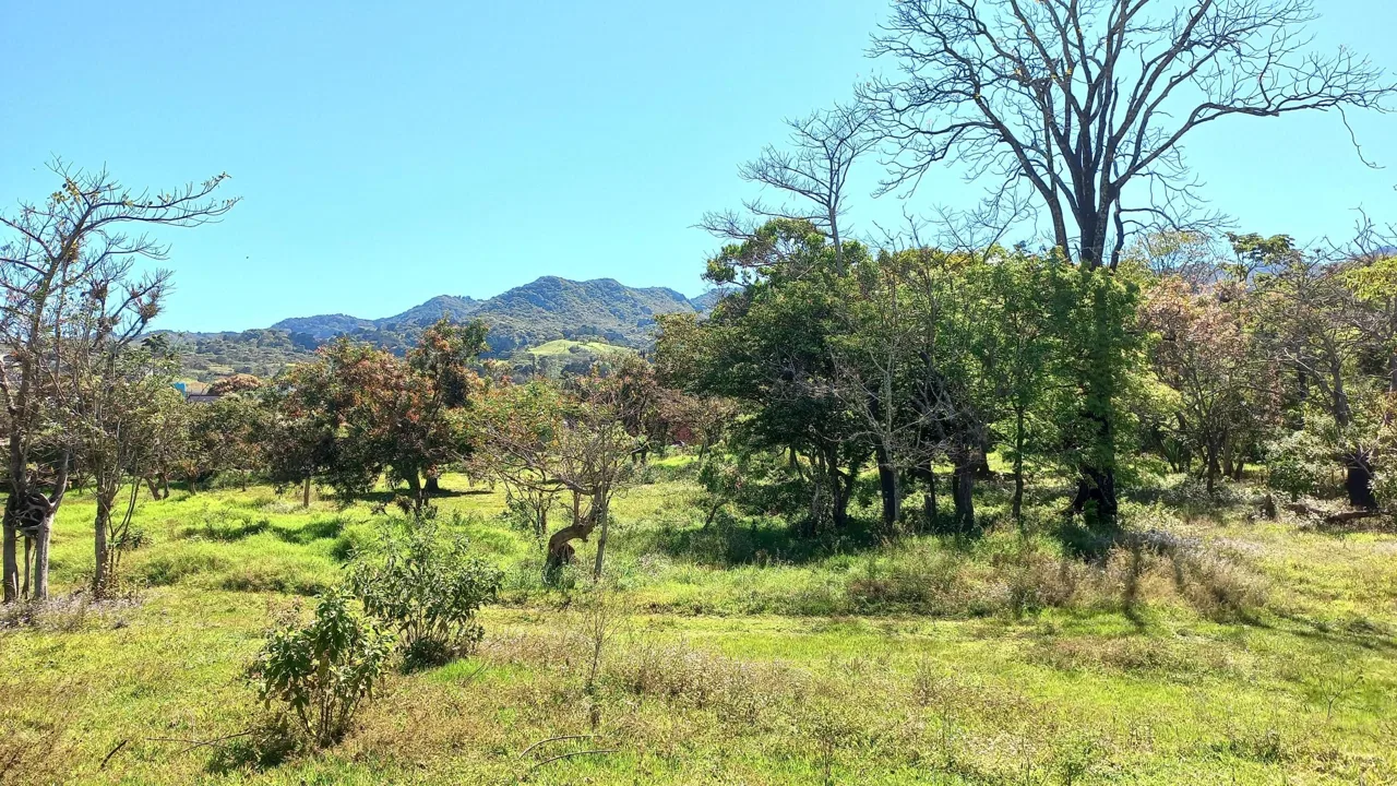 Lote en Venta en San Miguel ,Desamparados, photo 21