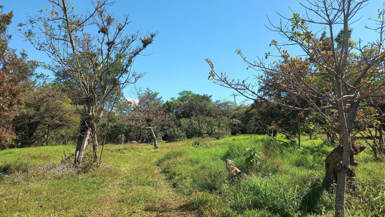 Lote en Venta en San Miguel ,Desamparados, photo 30