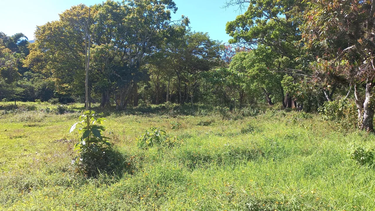 Lote en Venta en San Miguel ,Desamparados, photo 31