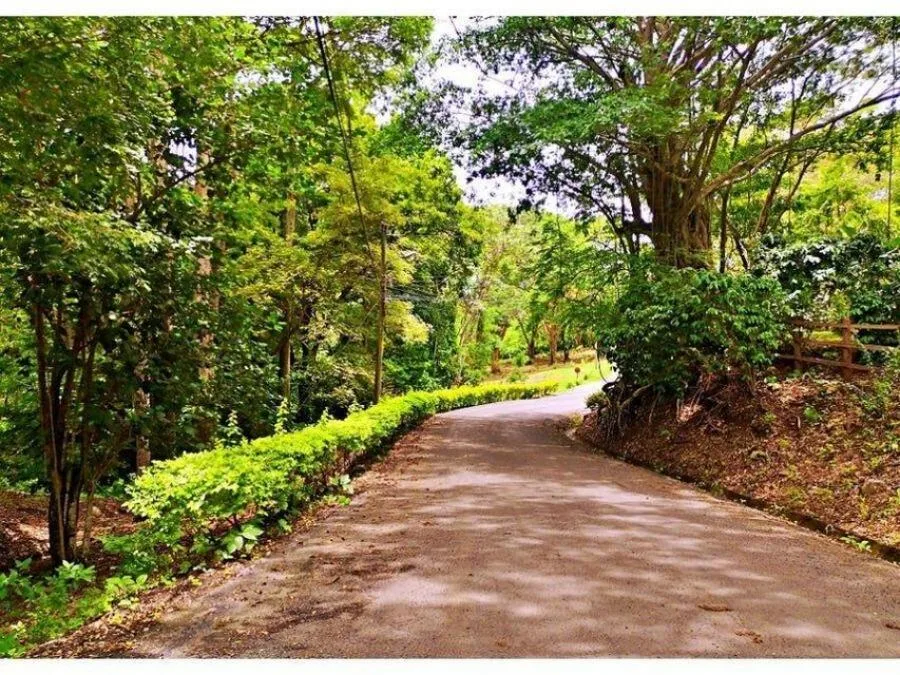 venta de lote en alajuela orotina - Venta en Orotina