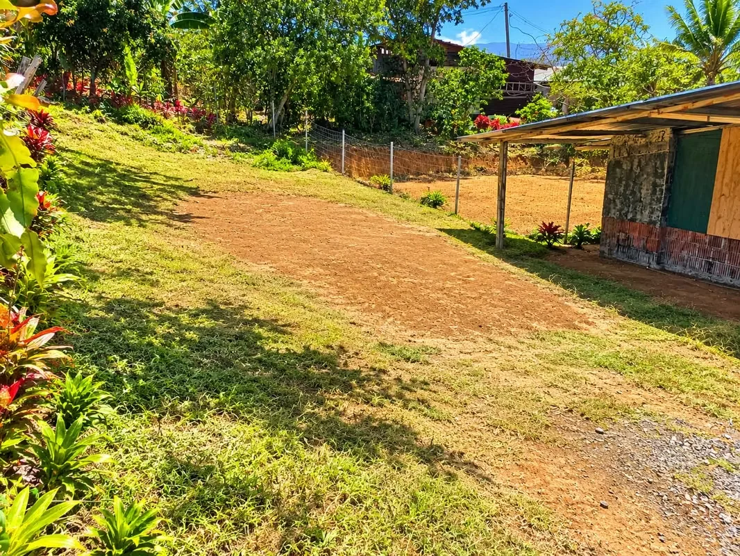 Casa con lote en venta en León Cortés – 305 m² | Ideal para vivienda o negocio, photo 12