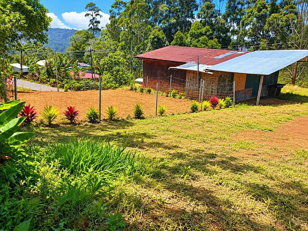 Casa con lote en venta en León Cortés – 305 m² | Ideal para vivienda o negocio, photo 13