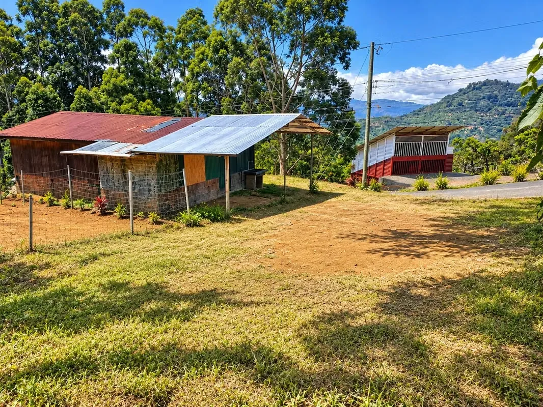 Casa con lote en venta en León Cortés – 305 m² | Ideal para vivienda o negocio, photo 9