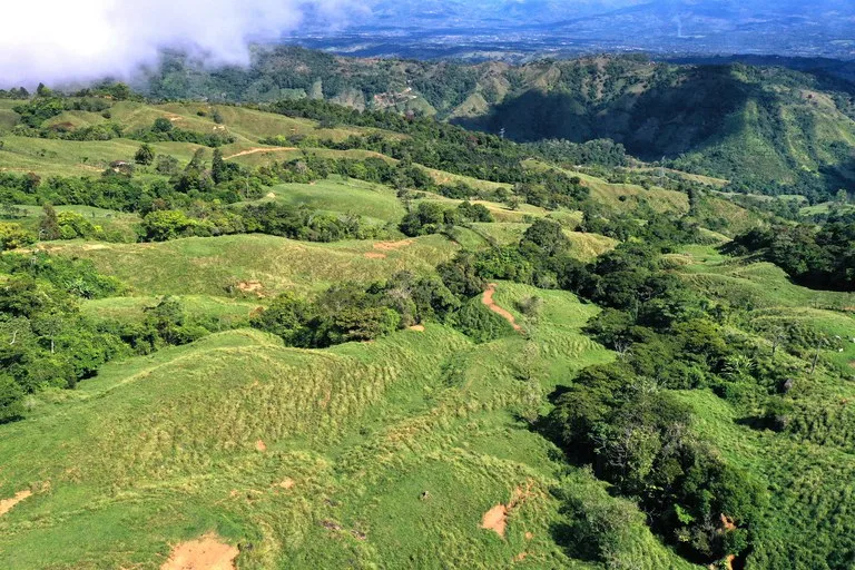 150 Acre Cattle Ranch with Panoramic Views Above the mountains of Uvita, photo 11