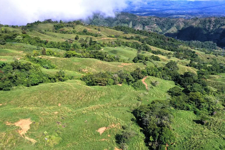 150 Acre Cattle Ranch with Panoramic Views Above the mountains of Uvita, photo 12