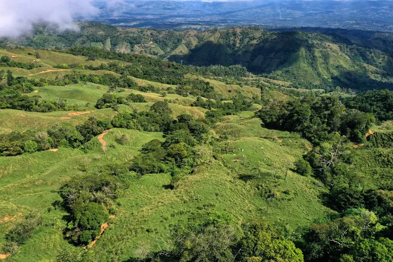 150 Acre Cattle Ranch with Panoramic Views Above the mountains of Uvita, photo 13