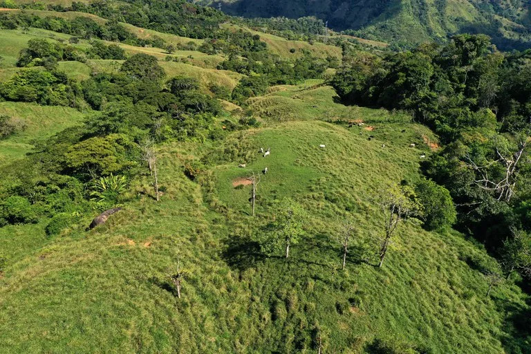 150 Acre Cattle Ranch with Panoramic Views Above the mountains of Uvita, photo 14