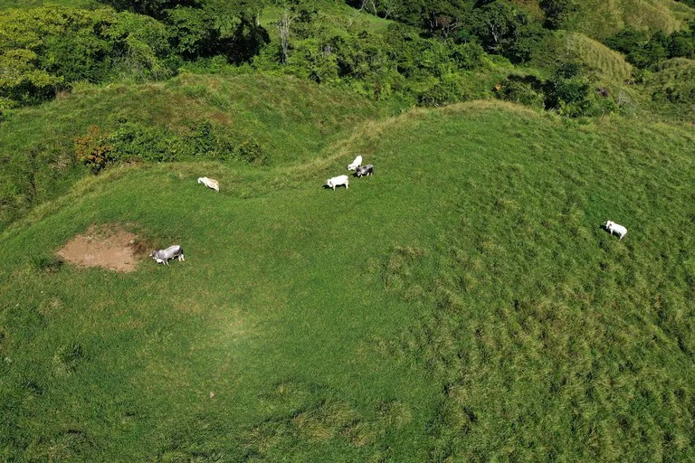 150 Acre Cattle Ranch with Panoramic Views Above the mountains of Uvita, photo 15