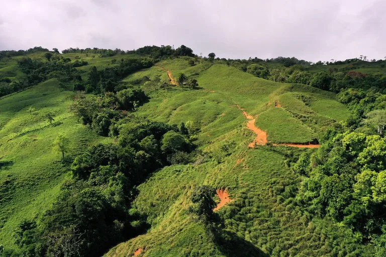 150 Acre Cattle Ranch with Panoramic Views Above the mountains of Uvita, photo 4