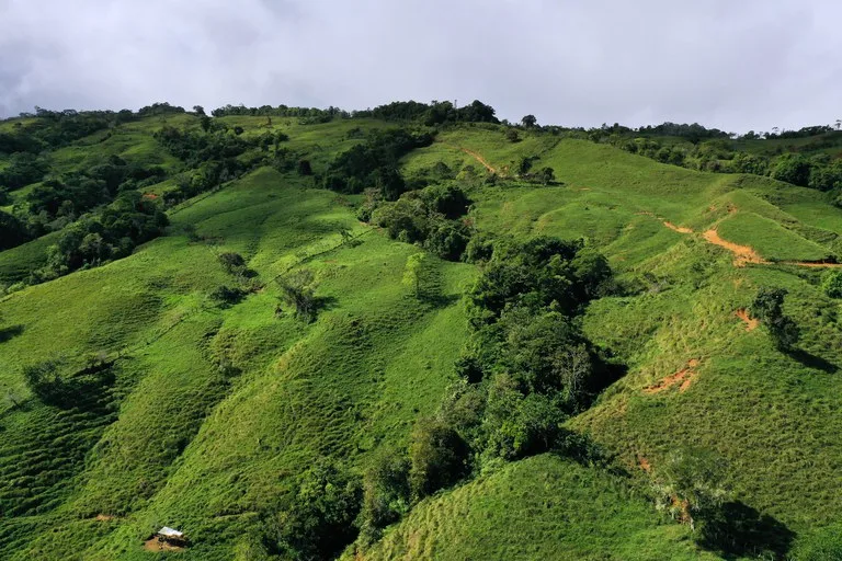 150 Acre Cattle Ranch with Panoramic Views Above the mountains of Uvita, photo 5