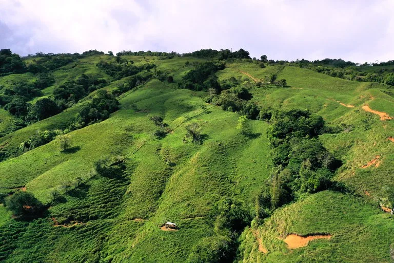 150 Acre Cattle Ranch with Panoramic Views Above the mountains of Uvita, photo 6