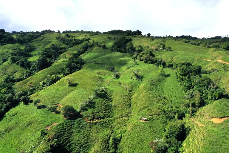 150 Acre Cattle Ranch with Panoramic Views Above the mountains of Uvita, photo 7