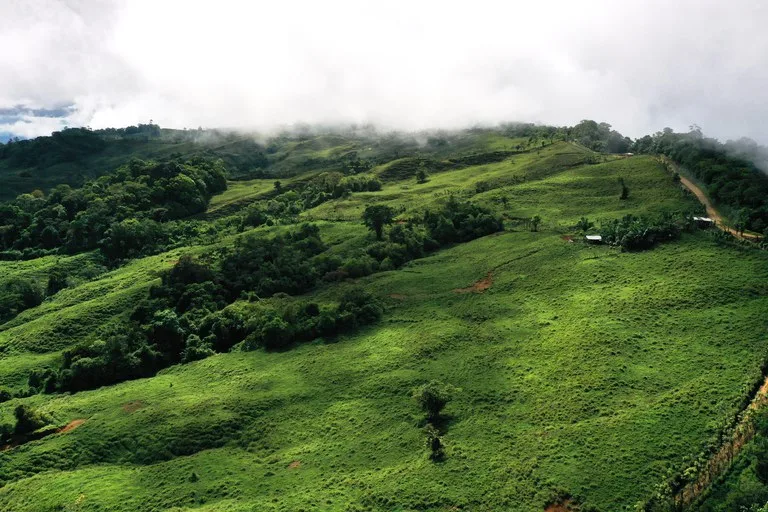 150 Acre Cattle Ranch with Panoramic Views Above the mountains of Uvita, photo 8