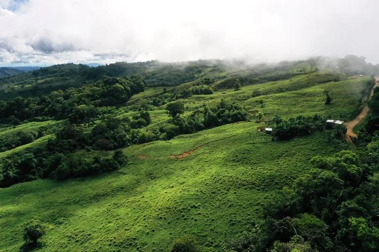 150 Acre Cattle Ranch with Panoramic Views Above the mountains of Uvita, photo 9