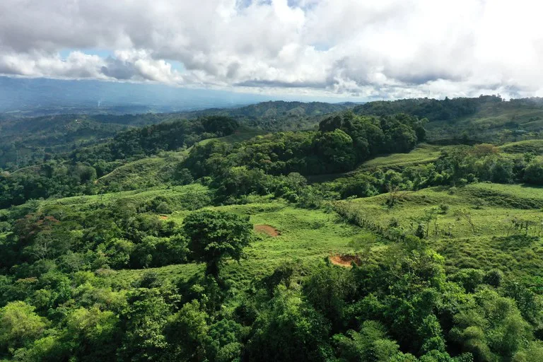 150 Acre Cattle Ranch with Panoramic Views Above the mountains of Uvita, photo 10
