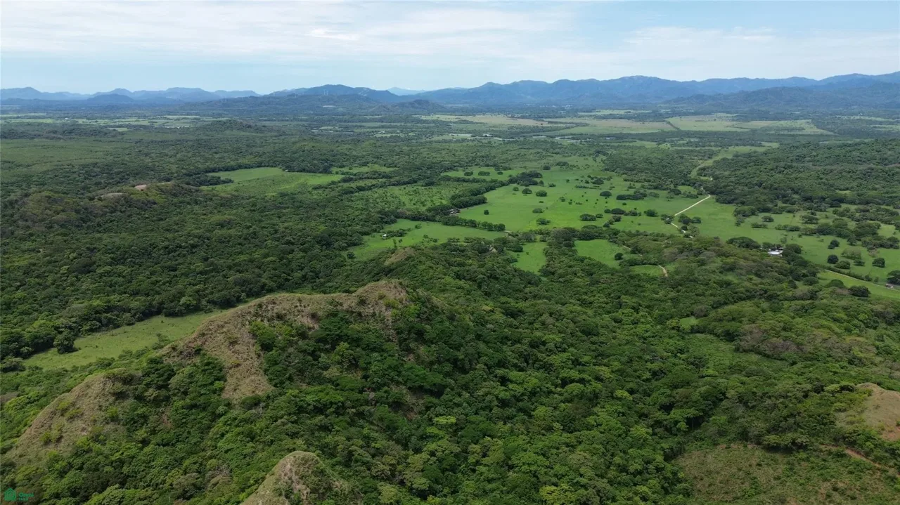 COYOLITO, Belen, Guanacaste 50504
