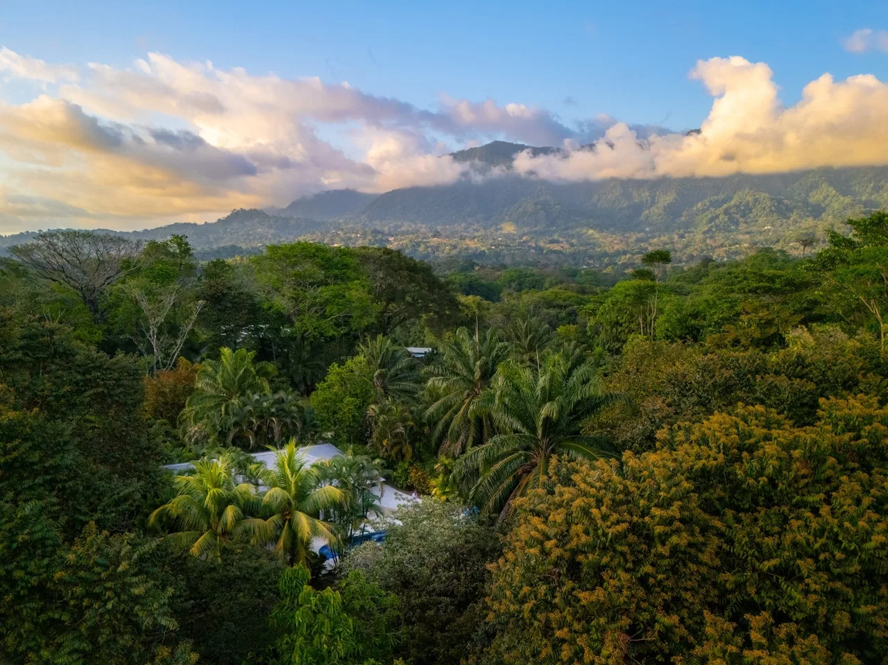 CASA SIRENA PROPERTY WITH TWO BEDROOM IN THE MIDDLE IN THE NATURE, IN OJOCHAL – 1.3 ACRES, photo 3
